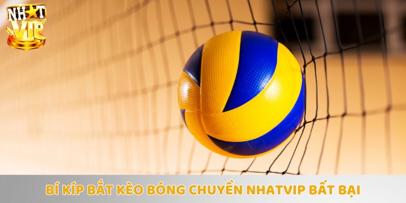 Tìm hiểu bí quyết bắt kèo luôn thắng khi tham gia cá cược bóng chuyền!