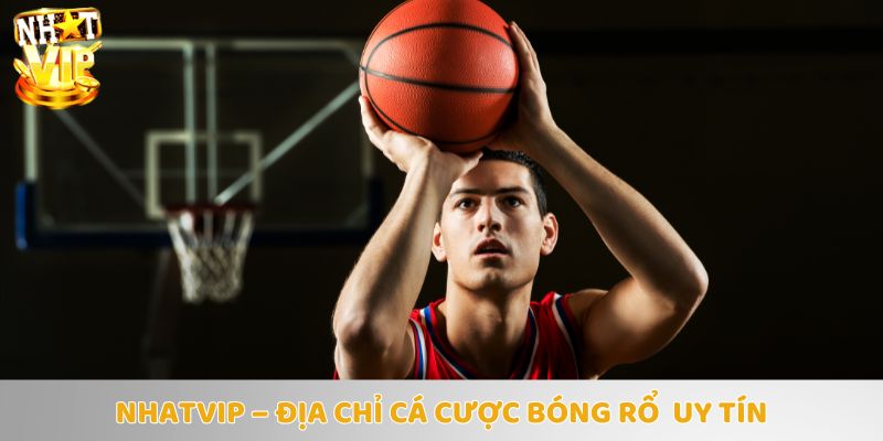 Nhatvip - Sự lựa chọn hàng đầu của các cược thủ