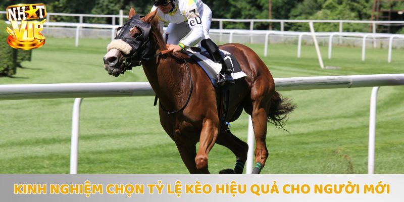 Những kinh nghiệm quý giá từ cao thủ - Giúp bạn nhanh chóng giành thắng lớn