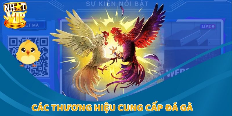 Một vài thương hiệu nổi tiếng cung cấp cược đá gà tại Nhatvip