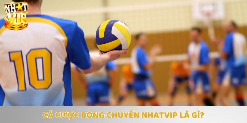 Trải nghiệm cá cược siêu hot cùng Nhatvip