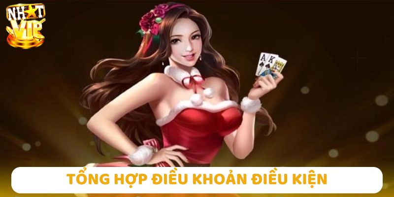 Tìm hiểu về những điều khoản điều kiện có tại Nhatvip