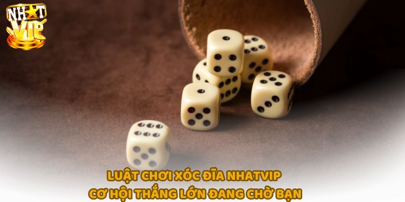 Xóc đĩa